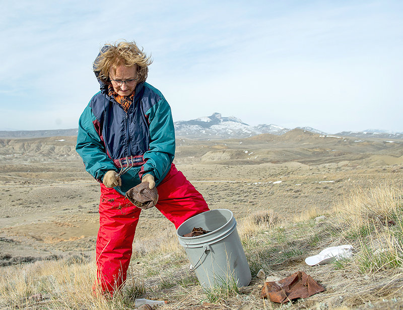 Barbara Jennings knocks the soil out of a rusty tin can she plans to recycle while cleaning up an old homesteader community dump near Heart Mountain from the 50s and 60s. Jennings started the project on Earth Day in 2020 and will be working on the project until the bugs get vicious.