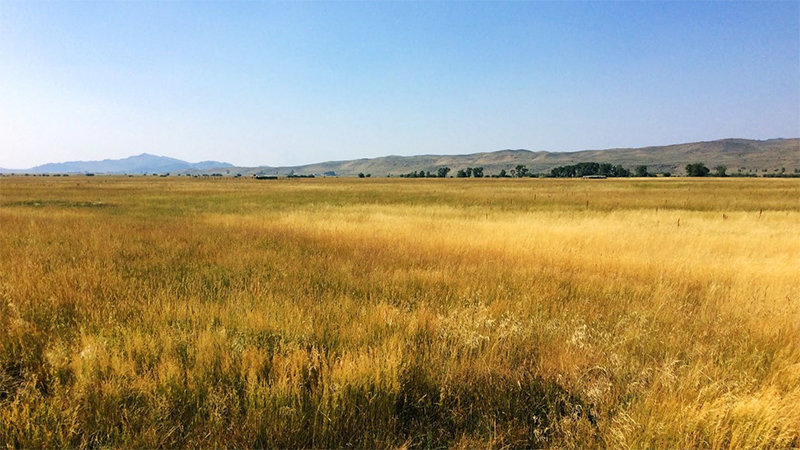 The Wyoming Stock Growers Land Trust conserved officially, 1,042 acres of the Richie Ranch which the Richie family has held for 100 years.