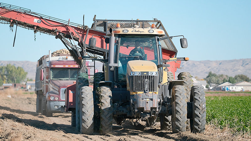 Many farmers in the community pitched in to finish Lyle Bjornestad&rsquo;s harvest. Farmers not only donated their time but also brought 27 trucks and two extra defoliators.