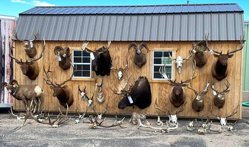 Law enforcement in Alabama searched defendant Russell Vick&rsquo;s taxidermy shop and found evidence of multiple violations.