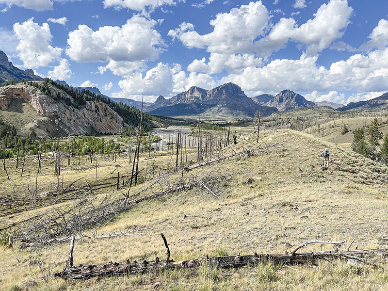 A geologist looks north along the Wiggins Fork valley near Caldwell Creek on the west half of The Ramshorn 30&rsquo; x 60&rsquo; quadrangle as part of a recent mapping effort. Peaks of the Absaroka Range are visible in the background.