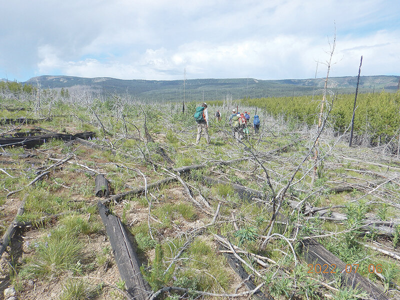 Scientists working with the University of Wisconsin head out in Yellowstone National Park to do research on the effects of fires in the Greater Yellowstone Ecosystem. The research has turned up scenarios due to changing climates that could change the landscape in the park.