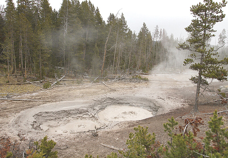 Mudpots in the Mud Volcano area of Yellowstone National Park bubble away, one of 660 locations where a team of scientists researched the magma chamber of the Yellowstone caldera for a recent study.