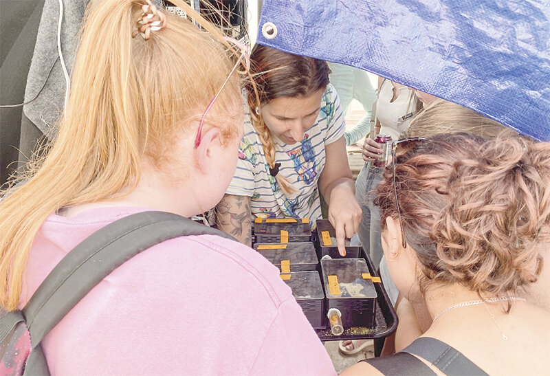 Sabrina White, a University of Wyoming graduate student, shared her bumble bee research with undergraduates in a program designed to help women prepare for jobs doing scientific field work.