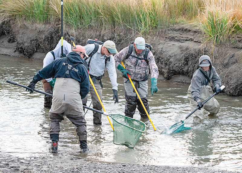 Members of the East Yellowstone Chapter of Trout Unlimited and volunteers rescue trout from an area canal in 2022. The organization, which has been saving thousands of native trout a year since the 90s, is looking for volunteers to join the effort later this month.
