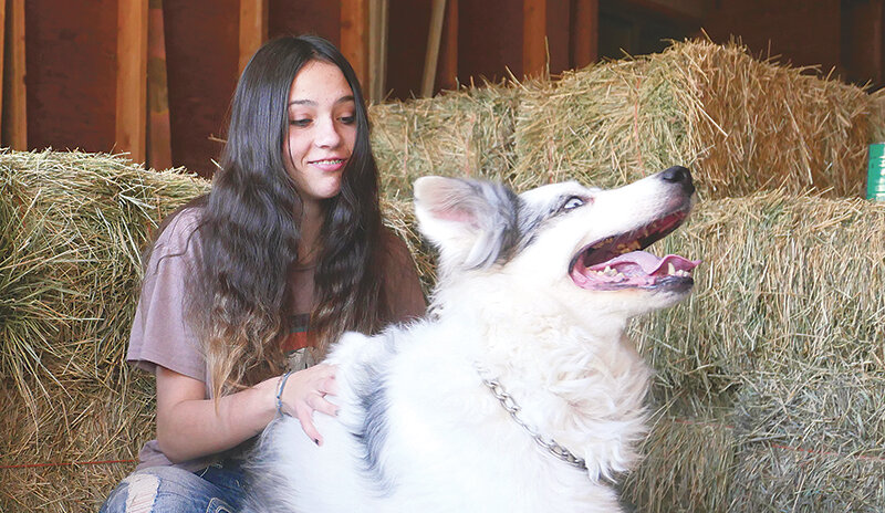 Kinzee Riedinger holds on to her 14-year-old dog Cummins. Kinzee and Cummins have always had a special bond &mdash; the courageous canine was originally her sister&rsquo;s but after helping to save Kinzee from a dog attack he hasn&rsquo;t left the determined dancer.