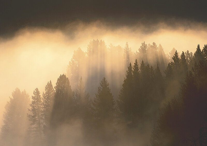 The sun rises over the Lamar Valley in Yellowstone National Park on a foggy morning. The origins of early public lands in the west were largely credited to preservationists and conservationists in the late 1800s and early 1900s and often associated with President Theodore Roosevelt.