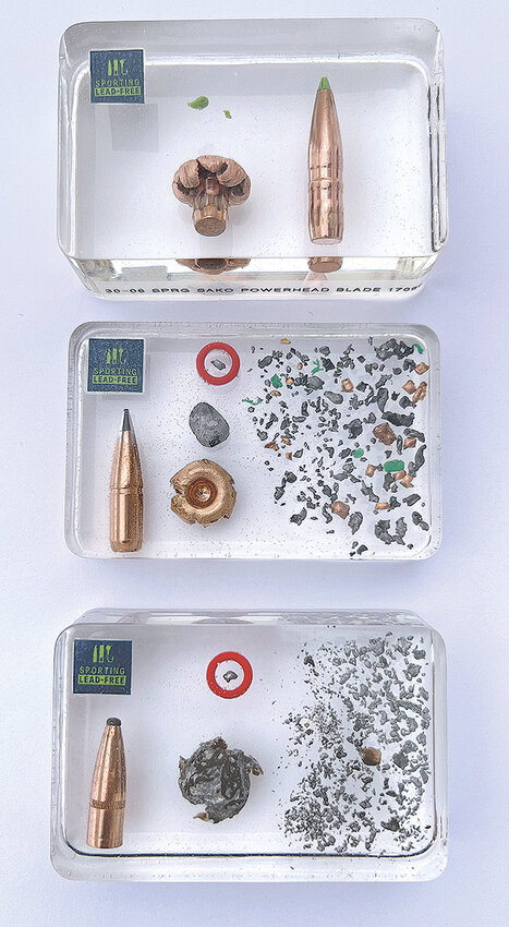 A comparison of ammunition shows a non-lead bullet (top) manufactured by Sako after a firing test and two top brands of lead bullets below. The circled portion of the lead fragments in the two lower photos is the amount it takes to poison and kill a bald or golden eagle.
