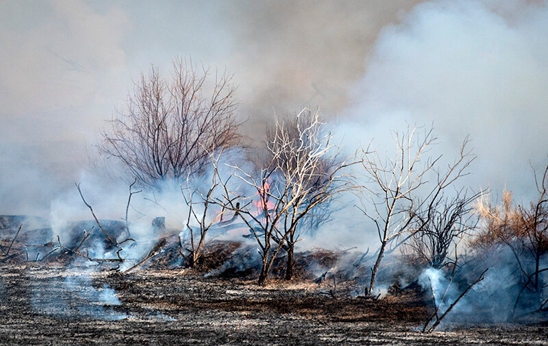 This recent controlled burn was planned and carried out by Bureau of Land Management Fire Program. The BLM, a leader in wildland fire management, conducts a broad range of actions to protect the public, natural landscapes, wildlife habitat, recreational areas and other values and resources.