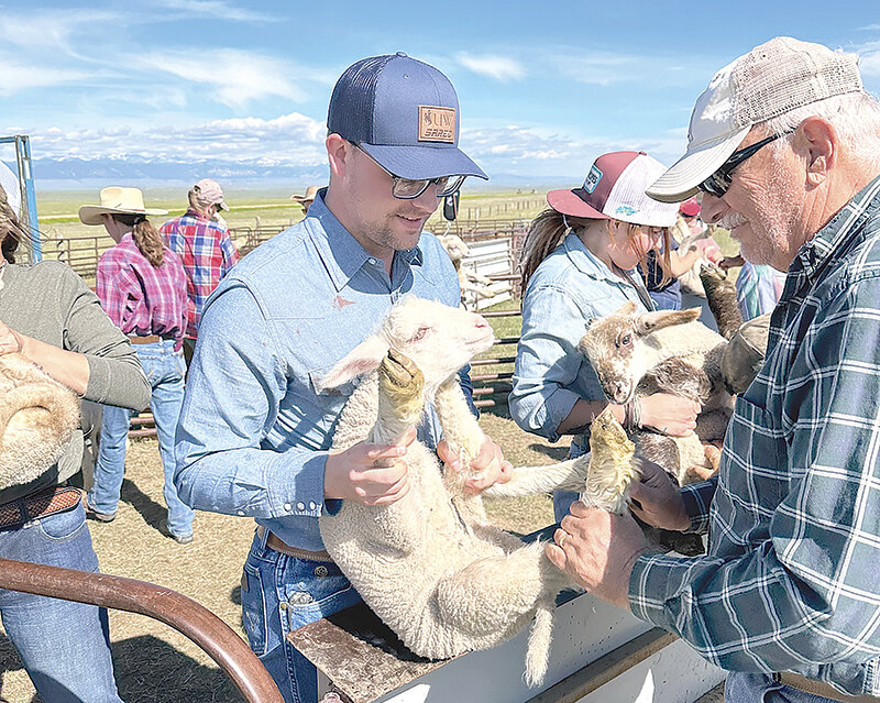 UW Extension Educator Micah Most holds a lamb during the Camino Ranch tail docking and processing that took place during the 2023 Wyoming Ranch Camp.