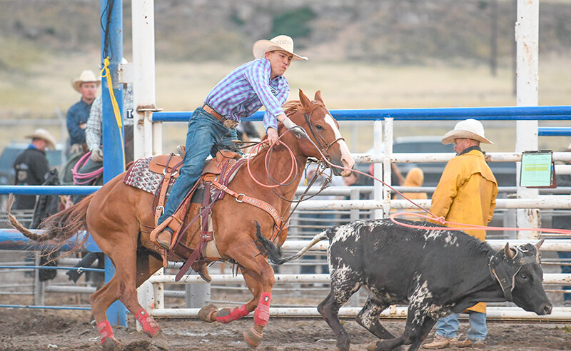 Former Northwest College Trapper Gunner Plenty of Gerryowen, Montana, competed in team roping with partner Caleb Guardipee (not shown) during the Wednesday, July 3 PRCA Stampede Rodeo in Cody.