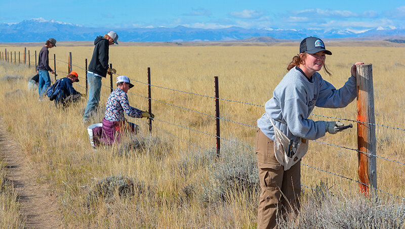 Erin Tighe (right), an American Conservation Experience intern in the BLM Cody Field Office, works alongside other volunteers to remove the bottom wire of the fence and lower the top wire.