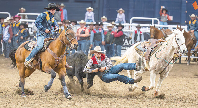 Rylee Fisher (center) drags down a steer during the first Montana State Rodeo on April 10-11. Fisher and the Trappers head to Miles City to take part in another pair of rodeos starting today (Thursday) and ending Sunday.