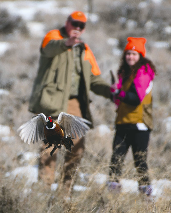 Gwynff Bodtke, a 12-year-old hunter from Byron, watches a ring-necked pheasant rooster escape while being mentored by Pheasants Forever volunteer Lynn Terry at Monster Lake on Saturday.