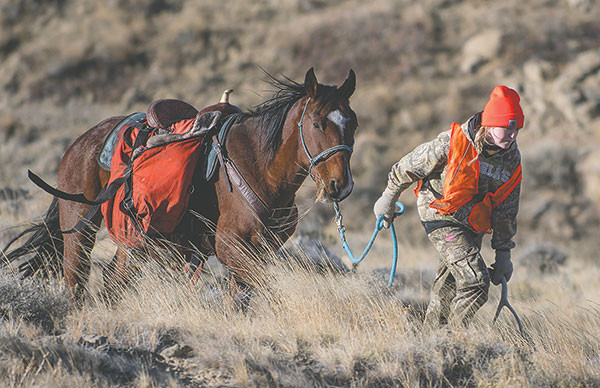 Shelby Fagan leads her horse, Socks, back to the truck with panniers full of a harvested mule deer doe.