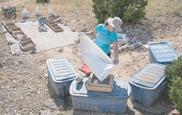 Julie Meachen prepares to work through bags of gravel, looking for specimens in the sift processing area above ground. All water and supplies used in the camp had to be brought in on a treacherous road to the research camp high above the Bighorn Canyon National Recreation Area. Tribune photo by Mark Davis