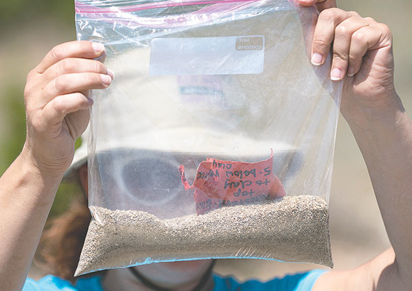 Julie Meachen looks through a bag of tiny gravel for small specimens. Specimens as small as plant particles and even pollen are highly sought after in the research project. Tribune photo by Mark Davis