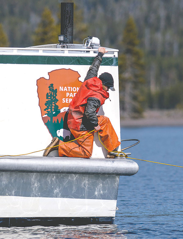 A Yellowstone park fisheries biologist works from the deck of the Freedom, a WWII vintage vessel turned into a fishing boat, to rid the lake of a large log that could damage boats.