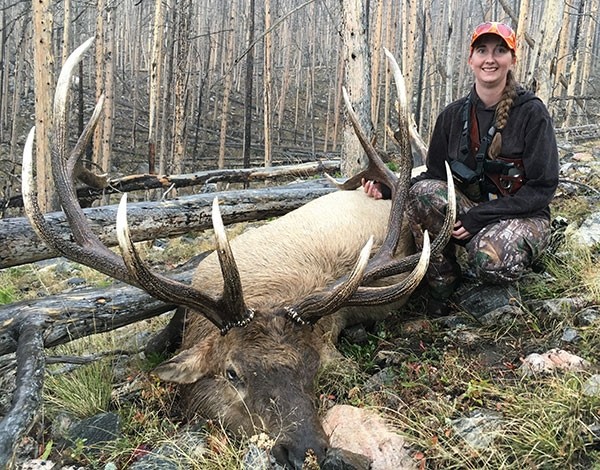 Breanne Thiel with the bull elk she harvested in the fall of 2016.