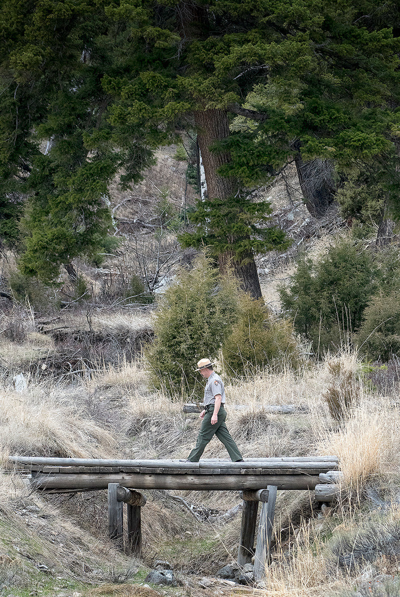 Yellowstone Superintendent Cam Sholly takes a late day hike at Mammoth Hot Springs, near his office in the park’s administration building. Sholly worked in Mammoth Hot Springs about 30 years ago, flipping burgers and on a backcountry maintenance crew. After a National Park Service career that most recently had him as the head of the Midwest Region, he’s now Yellowstone’s top official.
