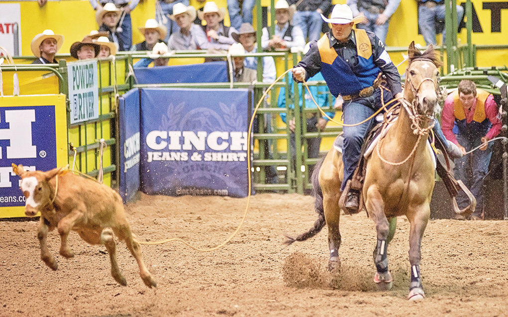 Montana State’s Bryce Bott competes in the first round of tie down roping at the 2019 CNFR Monday morning at the Casper Events Center. Bott, a graduate of Powell High School, was in sixth place after the first round of competition.