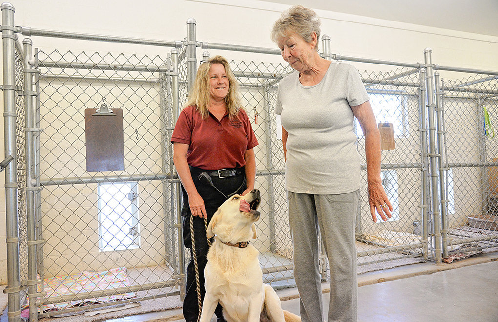 Local animal control officer offers advice for pet owners | Powell Tribune