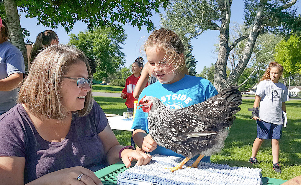 Claudia Preator talks about her Wyandotte chicken during a recent practice poultry showmanship session at Washington Park, while her mother, Cortney Miner Preator, looks on at left.