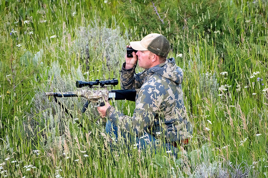 Wyoming Game and Fish Department wildlife biologist Sam Stephens checks the distance to a cow moose with a range finder while trying to get close enough to use a tranquilizer gun in a GPS collaring operation in the Bighorn National Forest last week.
