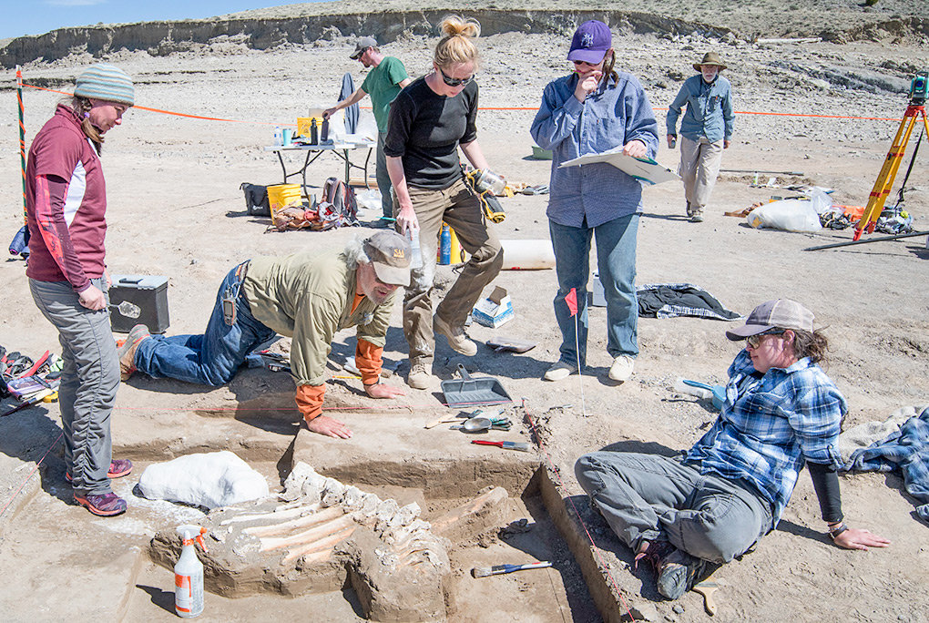 Wyoming archaeologists and others work to extract a large portion of a Columbian mammoth at the Buffalo Bill Reservoir in April 2018. Pictured are Marcia Peterson, Larry Todd, Greg Pierce, Marieka Arksey and Powell resident Brigid Grund.