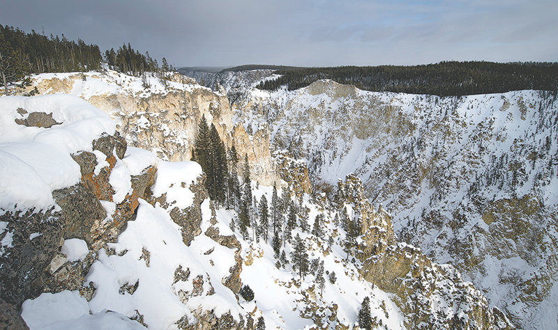 The Grand Canyon of the Yellowstone River in Yellowstone National Park is covered in snow and is closed to tourists even during the summer months. A treasure hunter was cited for climbing into the canyon on Jan. 6; rescuers were required to get him back out during a snowstorm.