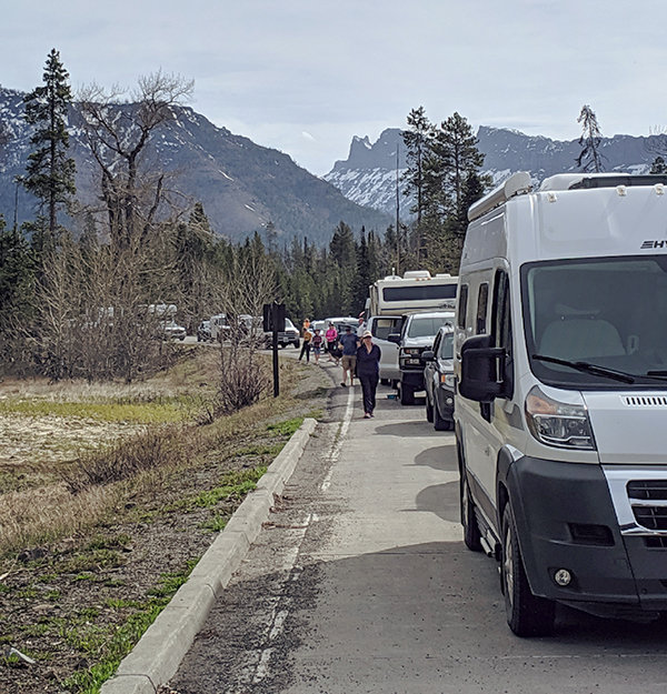 A long line of vehicles formed at Yellowstone’s East Entrance on opening day. While waiting to enter the park, Stacy Boisseau and her daughters, Kiya, Hailey and Grace McIntosh, spotted a moose and a porcupine.
