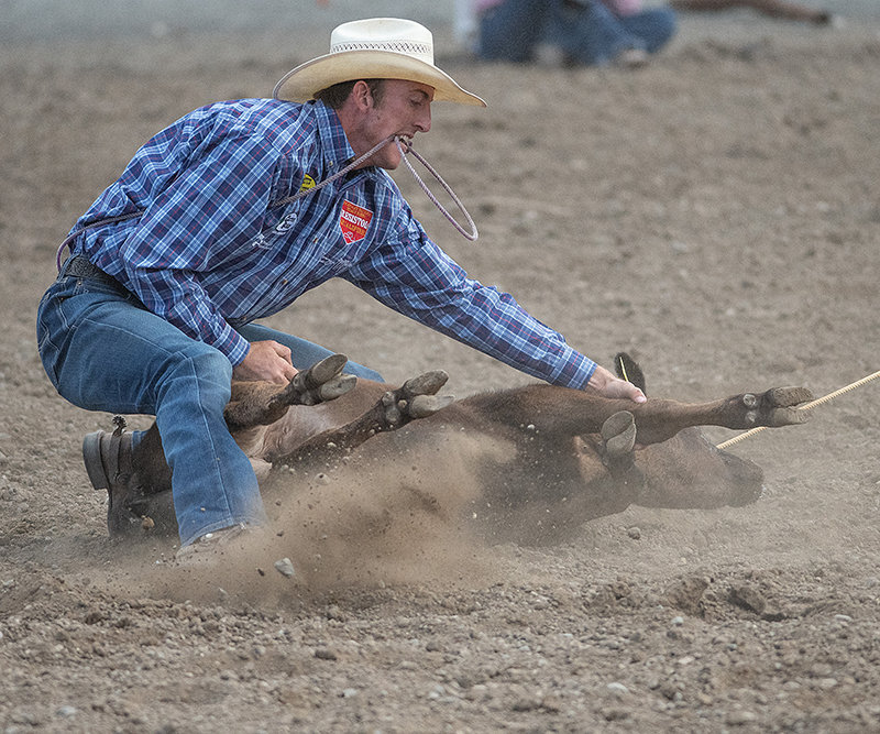 Taylor Santos ties down his calf at the Cody Stampede. He did not finish in the top 10.