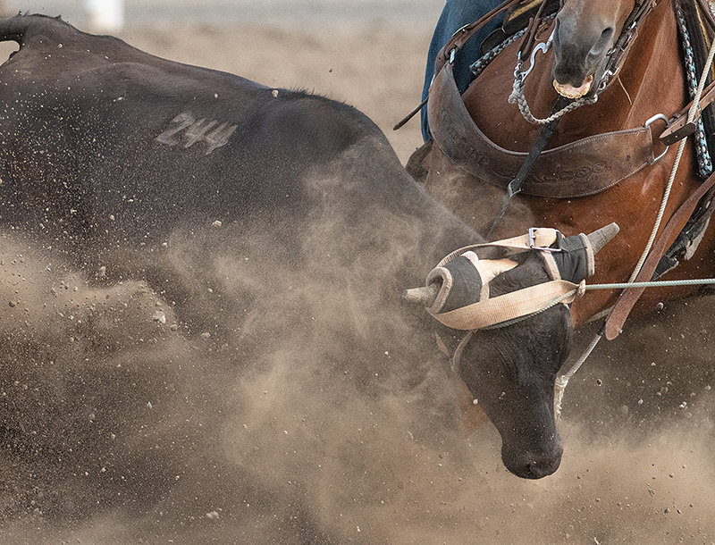 The PRCA-sanctioned Cody Stampede Rodeo ran from July 1-4, featuring scores of competitors across nine different events.