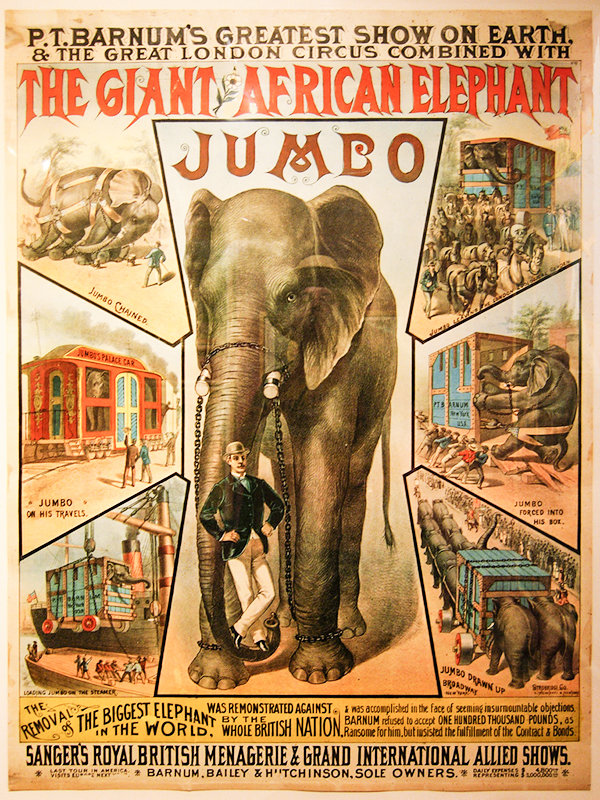 The presenters of a Wednesday discussion, Robert Hitchcock and Melinda Kelly, will examine the fascination with elephants in circuses and zoos — including Jumbo.