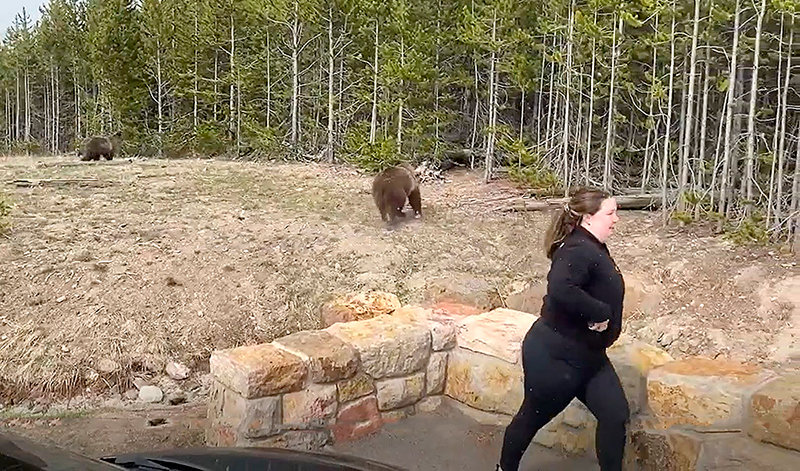 Officials in Yellowstone National Park turned to social media to ask for help in identifying this woman, who was captured on video getting dangerously too close to grizzly bears in May. She has now been charged.