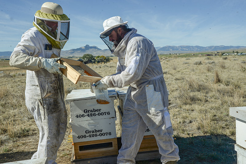 Noah Graber pours pollen into a bag held by Cort Jones. Besides honey, pollen is a product beekeepers in Wyoming produce.