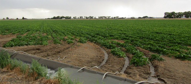 Over the past two years, Park County has seen a surge in development, with commissioners sometimes forced to balance private property rights against the desire of neighbors and others to have land remain in agricultural production. New Commission Chairman Dossie Overfield expects land use issues to again occupy much of the county’s time in 2022.