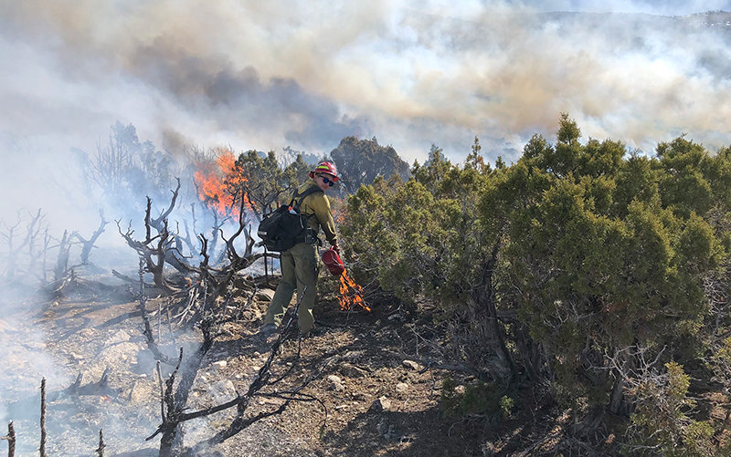 The BLM conducts a prescribed fire project in March 2021 on the west slope of the Bighorn Mountains. More projects are planned this winter and spring.