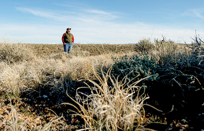 Leslie Schreiber, former greater sage grouse program manager for the Wyoming Game and Fish Department, surveys grouse habitat near Worland in 2020. She resigned her position last week.