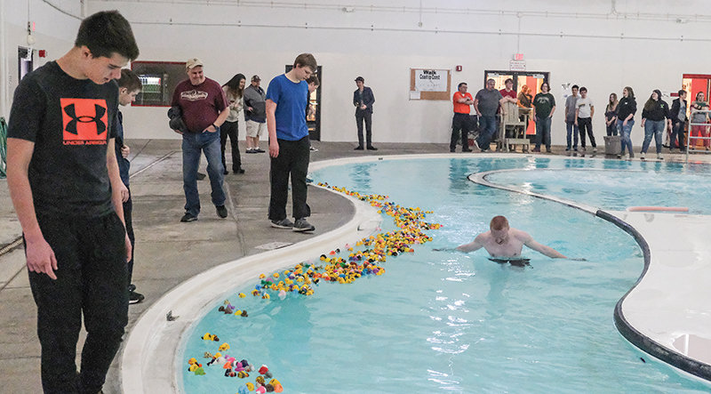 Powell High School senior Francis Rogers keeps all the ducks in a row during the robotics team’s annual duck race, which is a fundraising event for the team.