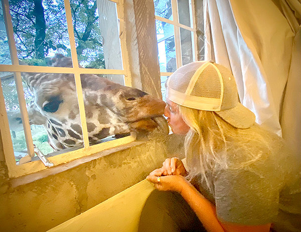 Amy Gerber gets a kiss from Ed, a 2-ton giraffe that poked its head through her bedroom window while staying at Giraffe Manor in Kenya.