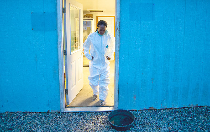 Former U.S. Fish and Wildlife Service director Aurelia Skipwith Giacometto steps out of the hatchery facility before sunrise at the Diamond Wings Upland Game Birds farm in a suit intended to protect the 51 sage grouse being raised on the farm from diseases. Giacometto, now the CEO of the International Order of T. Roosevelt, was in town to visit the Powell bird farm Sunday.