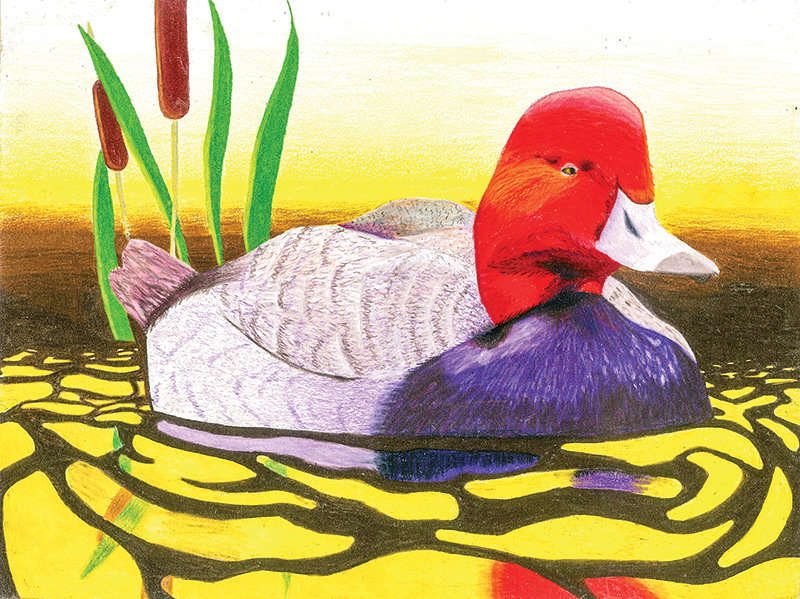 PHS sophomore Stephen Williams won runner-up best of show for his colored pencil drawing ‘Duck of the Golden Sunrise.’