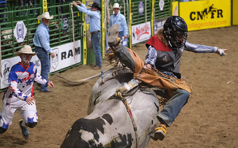 Hanging on for dear life, Hunter Hughes tried to last the whole eight seconds as the Trapper cowboys had a difficult experience at the CNFR last week.