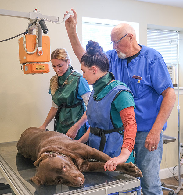 Veternarian technicians Rachel Brandon and Sara Calvert assist Dr. Ray Acker on the new X-ray equipment, which produces a higher resolution image faster than the equipment at the former location of Bighorn Animal Care Center.
