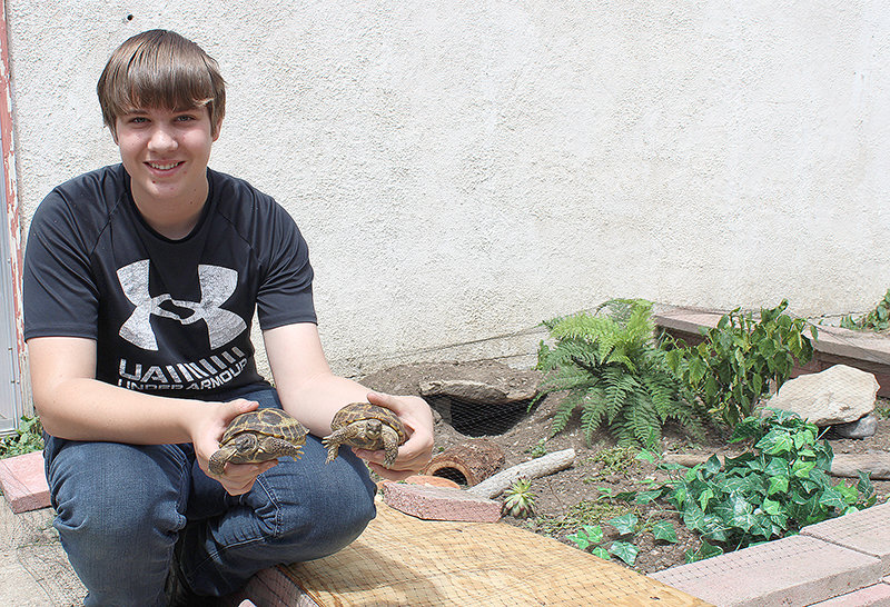 Logan James poses with his two Russian Tortoises, Octavia and Blaze, in front of their newly built outdoor enclosure. The outdoor enclosure measured 8 feet by 8 feet when this photo was taken, but has since been expanded to 15 feet by 20 feet.