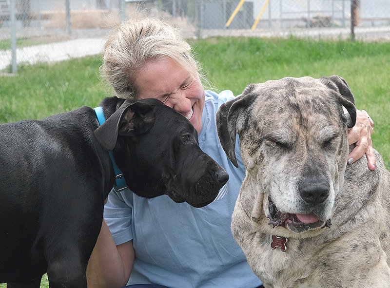 Lisa Horton hugs her dogs Ruger (left) and Tink (right) at Wiggly Field Park. These large mixed breed dogs can grow over 200 pounds and develop huge personalities as well according to Horton.