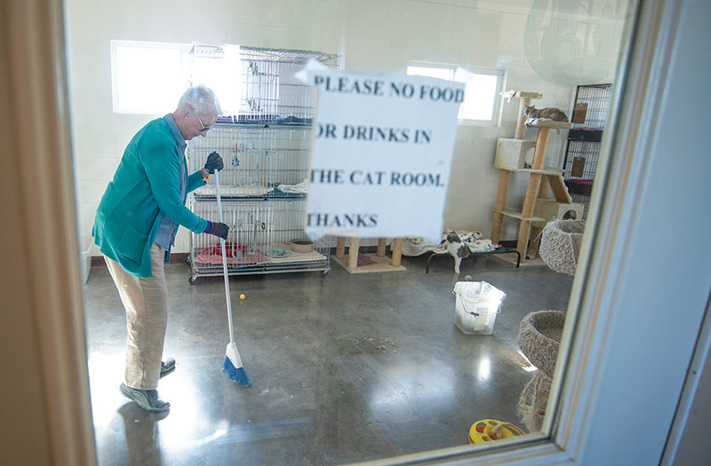 Nan McCann, who has been with the Moyer Animal Shelter ‘from the beginning,’ cleans up in the shelter’s cat room. The shelter currently has eight cats up for adoption.