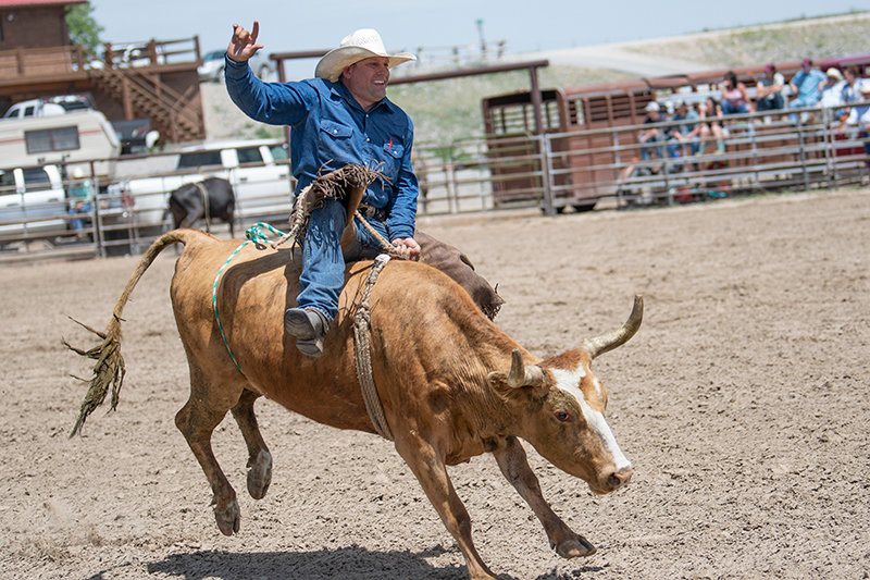 Jason Griffin flashes the universal hand signal for rock and roll during his wild cow ride.