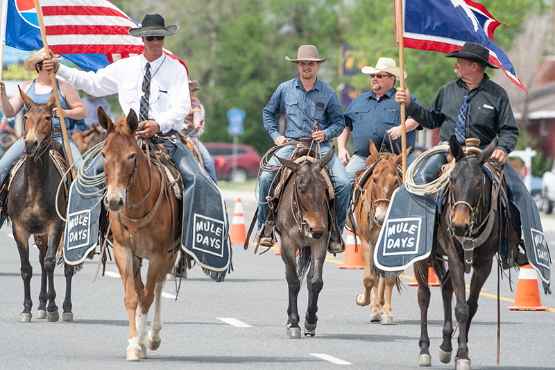 From left, Mike Sikveland, Jack Steed, Dillon Corrington and Jeff Tift lead the parade of mules and riders through downtown Ralston Saturday morning.